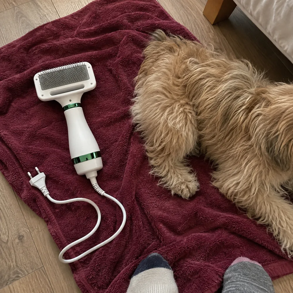 Cena ilustrativa: escova verde ao lado de um cão no quarto